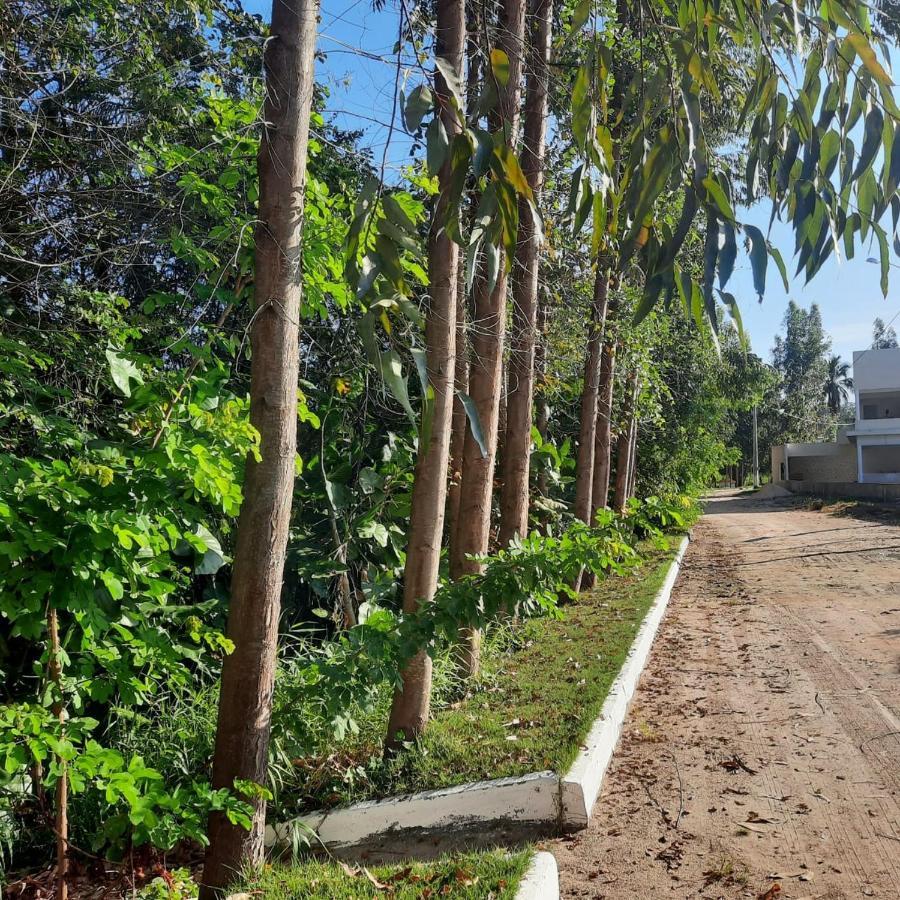 Viva! 1 Casa Nova Em Condominio Entre Maragogi E Carneiros Sao Jose da Coroa Grande Ngoại thất bức ảnh